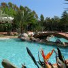 Piscina limpida con ponte e piante esotiche.