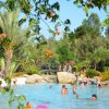 Piscina affollata con piante e fiori circostanti.