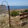 Sentiero naturale vicino al mare con cartelli indicativi.