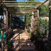 Pergolato circondato da piante e fiori in un giardino soleggiato.