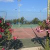 Campo da tennis con fiori rosa in primo piano.