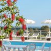 Fiori rossi pendenti vicino a una piscina con ombrelloni bianchi.