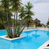 Piscina con al centro una pianta tropicale, sedie verdi e gazebo sullo sfondo.