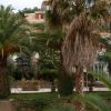 Palme rigogliose davanti a una casa con tetti rossi, circondata da altre piante.