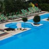 Piscina azzurra con lettini verdi e decorazioni verdi.