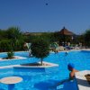 Una piscina con zone verdi e persone che nuotano.