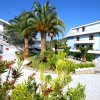 Esterni di un edificio con palme e giardino.