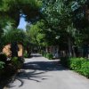 Viale alberato con case ai lati.
