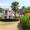 Giardino con palme, siepi e sentiero lastricato, edifici bianchi a due piani sullo sfondo.