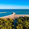 Vista aerea di una spiaggia con pineta.