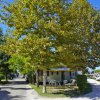 Viale con case mobili e alberi.