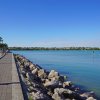 Lungolago con palme e cielo sereno.