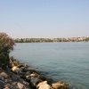 Riva del lago con fiori e città in lontananza.