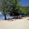 Spiaggia sabbiosa con alberi e bagnanti.