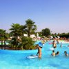 Piscina affollata con palme al centro.