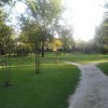 Sentiero nel parco tra gli alberi verdi.