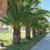 Villaggio Arcobaleno (FG) Puglia