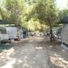 Area campeggio con camper e tende sotto gli alberi.