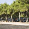 Roulotte e tende sotto gli alberi in un campeggio.