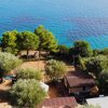 Vista aerea di alberi vicino al mare.