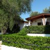 Bungalow bianchi fra alberi e arbusti verdi.