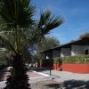 Edificio bianco con terrazza rossa e palmizio in primo piano.