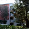 Edificio con parete rosa tra alberi verdi.