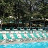 Lettini verdi a bordo piscina con ombrelloni.