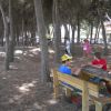 Ragazzi seduti a un tavolo nel bosco mentre altri giocano tra gli alberi.