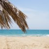 Spiaggia con mare e palme.