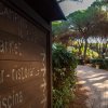 Cartello di un campeggio vicino a un vialetto alberato.