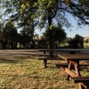 Tavoli da picnic in legno sotto alberi.