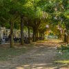Camper sotto alberi lungo un sentiero.