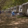 Camper allineati sotto gli alberi, con sedie e bici.