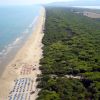Una spiaggia con lettini e ombrelloni vicino a una vasta pineta. Il mare si estende all'orizzonte.
