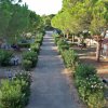 Stradina tra bungalow con alberi e siepi in un campeggio.