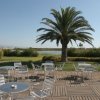 Tavoli e sedie in metallo su una terrazza di legno, con palme e un lago sullo sfondo.