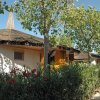 Bungalow circondati da alberi e cespugli di oleandri fioriti.
