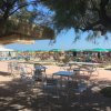 Tavolini e sedie di metallo, ombrelloni e sdraio su una spiaggia alberata.