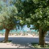 Due alberi davanti a una spiaggia con molte sedie a sdraio sotto ombrelloni verdi.