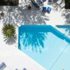 Piscina a forma irregolare vista dall'alto, circondata da lettini blu e palmizi.