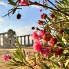 Villaggio Mondial Camping (MT) Basilicata