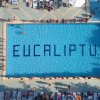 Una piscina con la scritta 
