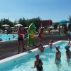 Persone in piscina con mascotte verde.