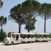 Trenino bianco parcheggiato sotto gli alberi.