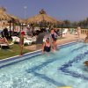 Persone giocano in piscina sotto ombrelloni di paglia.