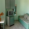 Piccola stanza con divano a quadri, TV e vaso di fiori.