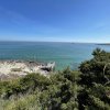Vista sul mare azzurro con un molo e vegetazione in primo piano.