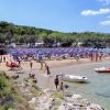 Una spiaggia affollata con ombrelloni blu e alberi verdi sullo sfondo.
