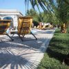 Lettini gialli vicino a una piscina tra palme.